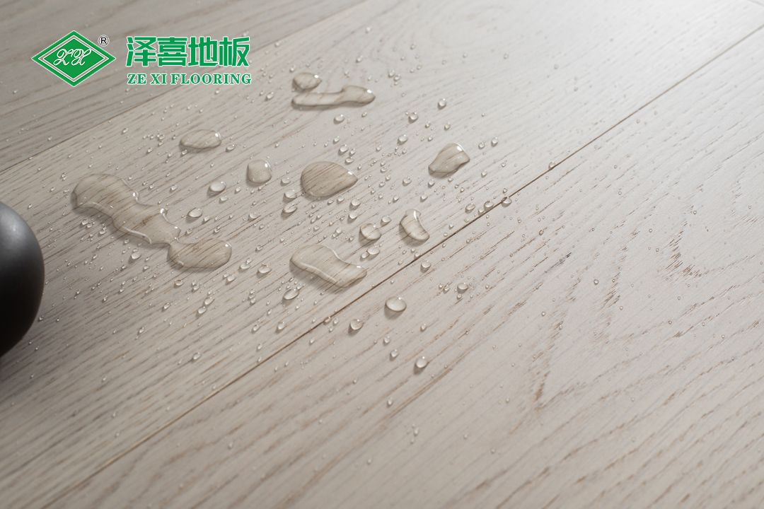 017A0730.jpg